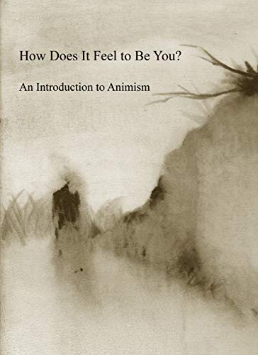How Does It Feel to Be You? An Introduction to