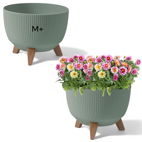 MELTOM Blumentopf Schale mit Füßen Einsatz Kräutertopf Übertopf...