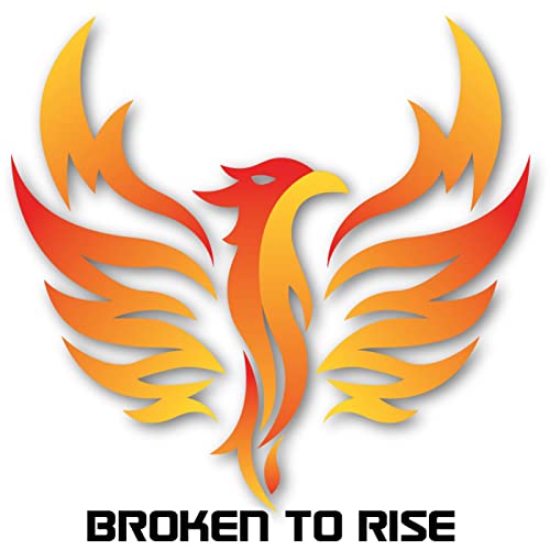 Broken to Rise cover art