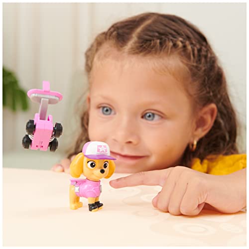 Paw Patrol, Big Truck Pups Skye Action Figure With Clip-On Rescue Drone, Command Center Pod And Animal Friend Kids Toys Ages 3 And Up #TOP2
