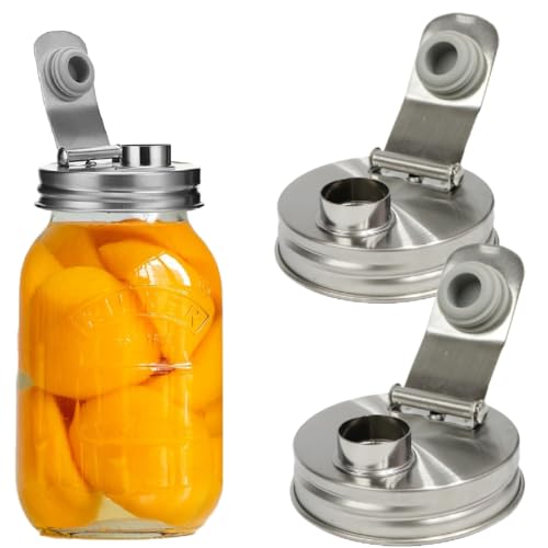 Mason Jar Pour Spout Lid Stainless Steel,Pour Spout Flip Cap Lids for Mason Jars,No Rust Leaking Proof for Home Brewing Fruit Fermenting Drinks Airtight(2PCS) (Regular Mouth)