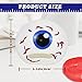 3.2In Puking Egg Vomiting Expression Stress Ball, Fidget Toy, Novelty Stress Relief Squeeze Toys, Tricky Play Fidget Toys, Prank Toys, Slime, Sensory Toy for Kids Adults (Isaac Eyeball)
