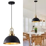 Febeleven Matte Black Farmhouse Pendant Light, Adjustable Height, Vintage Hanging Industrial Ceiling
