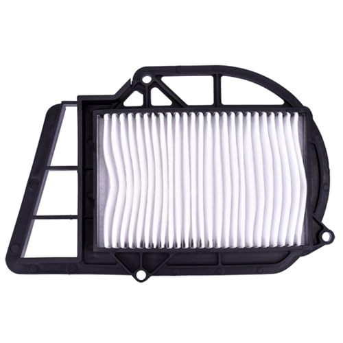 Filtre à air HFA/4203 Yamaha 5GM-15407-00 pour VP250 YP250 VP300