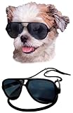 G029 Small Dog Breed up to 15lbs Cat Pet Aviator Sunglasses Glasses (Black)