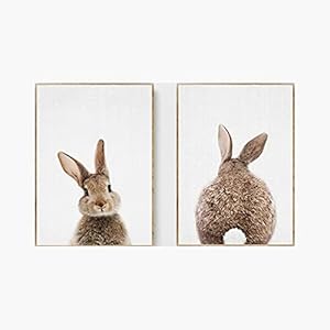 Canvas schilderij afdrukken dier bruin konijn poster muur foto woonkamer decoratie schilderij (30x40cm) × 2 stuks frameloze