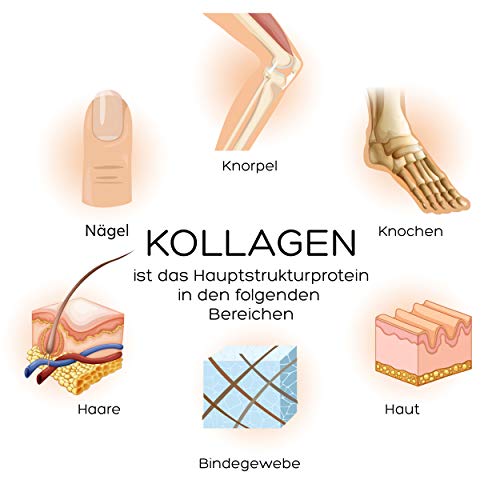 Kollagen-Trinkampullen von Luondu für Haut und Gelenke