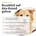 PEZZ Durchfall Test PCR für Hunde | Zuhause auf die häufigsten 6 Durchfallerreger testen | Nur eine Probe erforderlich | inkl. Giardien, Salmonellen, Campylobacter | gratis Labor-Versand