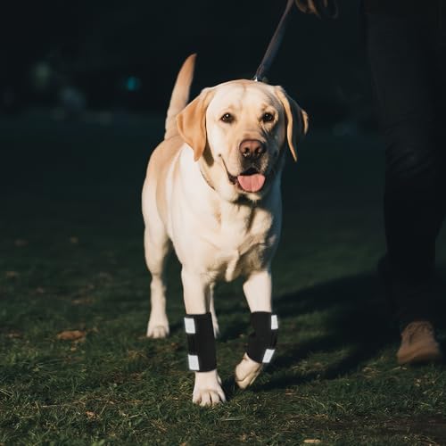OHCOZZY Hundeschiene 2 Einheiten Vorderbein mit reflektierenden Riemen, Hund Handgelenkstütze gegen Lecken, Hundebandagen für Wickel Wunde Verletzung und Verstauchung Heilung,S