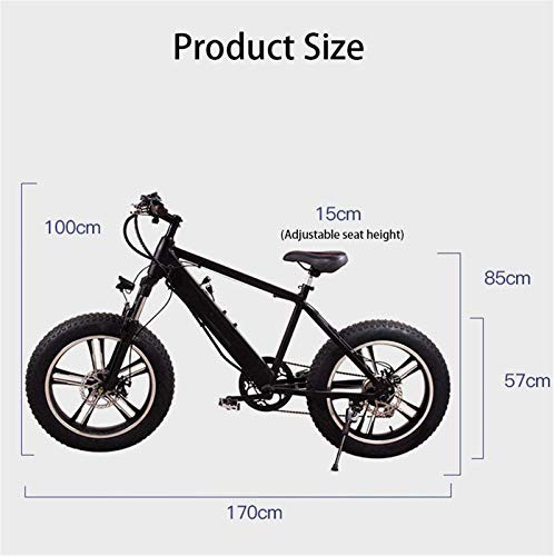 RDJM Ebikes, Adults Mountain Electric Bike, with 250W Motor 20 Inches 4.0 Wide Tire Snowmobile Removable Battery Dual Disc Brakes Urban Commuter E-Bike Unisex - Image 3