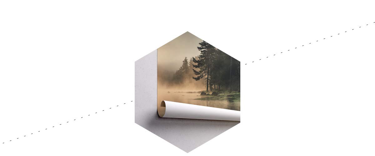 Muralo Fototapete Vlies Wald im Nebel, See, Bäume, XXL - 270x405 cm