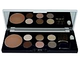 Estée Lauder Pure Color Eyeshadow 6 Color Palette (10-Ivory Slipper (Satin), 35-Hot Cinnamon (Shimmer), 60-Sugar Biscuit (Satin), 38-Chocolate Bliss (Matt), 47-Nude Fresco (Satin), 12-Wild Truffle (Matte)) + Pure Color Blush (11-Sensuous Rose).