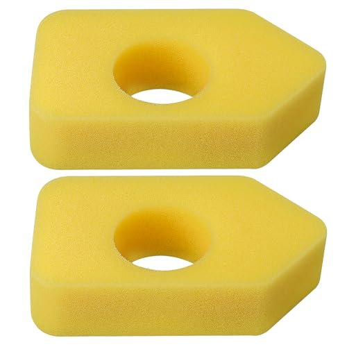 2 Pack Air Filter 698369 for Briggs & Stratton 4216 5086K 5088 5088H 5099 698369 MTD 490-200-0011 Craftsman SPA8S1062853001