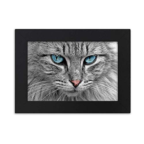 黒 猫 絵画 その他のインテリア雑貨の人気商品 通販 価格比較 価格 Com