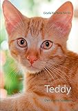  Teddy: Der kleine Spanier