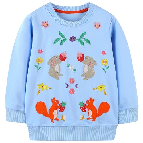 Image of AIWUHE Toddler Cotton Sweatshirt Boys Girls Pullover Long Sleeve Tops 2-6Y
