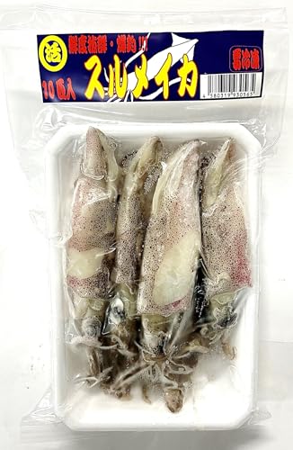 yނ肦zⓀXCJ 10C ނ肦p^XCJ