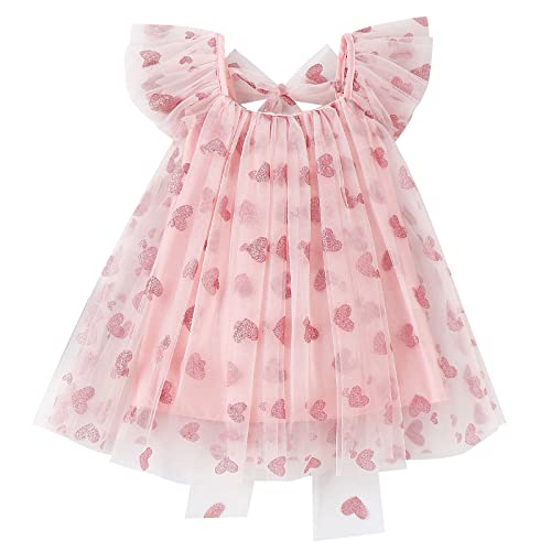 Baby Girl Tulle Dress Kids Heart Tutu Skirt Lace Sleeveless Princess Sundress