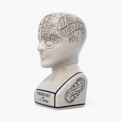 Assorted Collections Adorno de cerámica con cabeza de frenología coleccionable, retro, busto de 23 cm, agrietado L N Fowler Assorted Collections Adorno de cerámica con cabeza de frenología coleccionable, retro, busto de 23 cm, agrietado L N Fowler