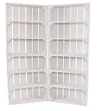 Vintage Möbel 24 GmbH 7X - Cassetta per la Frutta con 2 Assi centrali, per arredamenti individuali, 50 x 40 x 16 cm, in Legno Robusto, Colore: Bianco