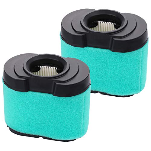 HIPA (Pack of 2) 792105 276890 Air Filter Cartridge Compatible with BS 593435 593240 407777 40G777 40H777 445667 445877 44H777 Engine Lawn Mower Z425 GY21057 MIU11515 MIU11517