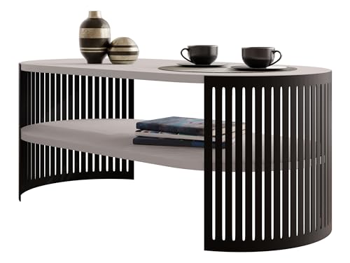 Mirjan24 Couchtisch mit Ablage Fahugin I, Ovale Form, Beine aus Metall, Kaffeetisch, Wohnzimmertiscâ€¦ – Miniatur