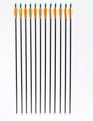 PANDARUS Archery 30inch 8mm Fiberglass Hunting Practice Arrows with Replaceable Arrowhead Spine 500