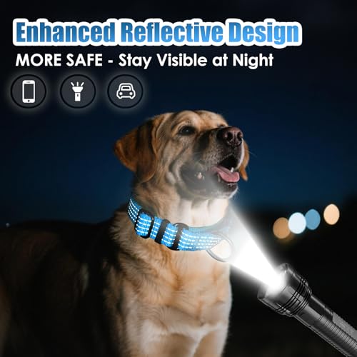 Image of Martingale Dog Collar, Reflective No Pull with Buckle, Sky Blue, S | Escape Proof without choking ,Training Collar with Quick Release Buckle, Adjustable Heavy Duty Nylon collars for S M L Dogs