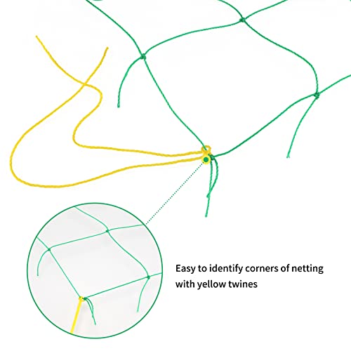 KINGLAKE GARDEN Trellis Netting for Climbing Plants 6 Ft x 12 Ft Green Garden Plant Netting Heavy-Duty Plastic Plant Trellis Netting for Tomato, Cucumber, Plants, Fruits, Flowers - Thumbnail 3