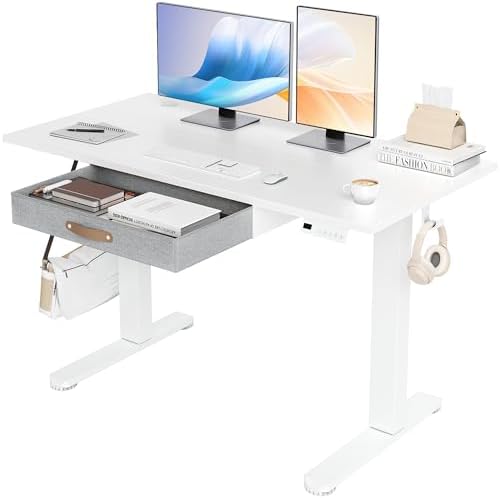 Seang Standing Desk with Drawer, 48" x 24" Height Adjustable Stan...