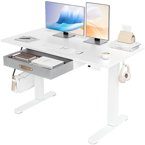 Seang Standing Desk with Drawer, 48" x 24" Height Adjustable Stan...