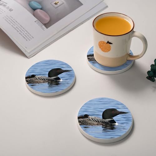 Sous-verres ronds en diatomite Loon Birds anti-trace d'eau table - 3
