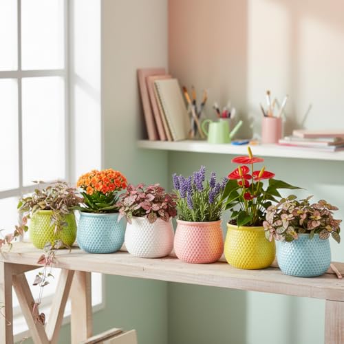 Image of Xtore 6Pc Vibrant Honeycomb Textured Ceramic Planter for Indoor Plants & Succulents | Colorful Decorative Flower Pots for Home, Office Desk, Windowsill & Shelf Styling (Multicolor - Planters only)