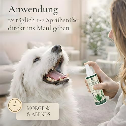TESTNOTE SEHR GUT Dentalspray für Hunde & Katzen Mit BIO Aloe Vera, natürlichen Kräutern & Minze – Zahnspray Gegen Mundgeruch & Zahnstein Zahnfleischpflege 200 ml Golden Pets