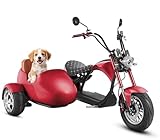 【Unique Riding Experience】 The M1P electric motorcycle, paired with a spacious sidecar, is designed to transform your riding experience. Perfect for family outings, it allows you to bring along kids, pets, or friends, ensuring double the fun and maki...