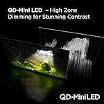 TCL 65-Inch QM7 QLED 4K Smart QD-Mini LED TV with Google TV (65QM751G, 2024 Model) Dolby Vision IQ, Dolby Atmos, HDR, Game Accelerator up to 240Hz, Voice Remote, Works with Alexa, Streaming Television - Image 4