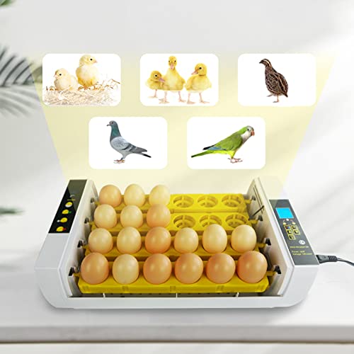 ZQWOZQ Automatische Eggs Brutmaschine, Intelligent, Konstanttemperaturregelung Inkubator Für 24 Eier, Klein Heimat… – Bild 8