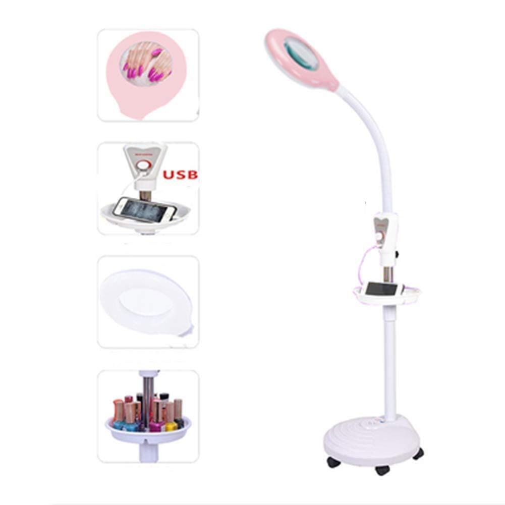 DIFC5 Beauty Lamp Tattoo Lamp Floor Led Shadowless Lamp Cold Light Nail Beauty Eyelash Special Lamp Beauty Salon Face Usb Charging With Wheels White Pink 0108 (Color : Pink)