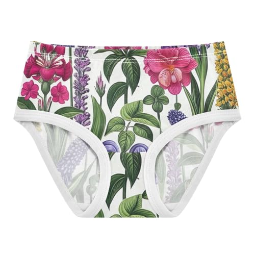 Toddler Girls Underwear 2t Cotton Cute Panties Girl Print Underpants Briefs Vintage Botanical Flowers