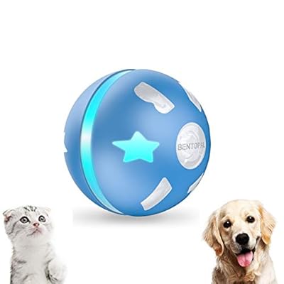 busy ball for dogs