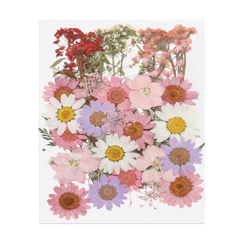PATIKIL 37 piezas flores secas prensadas naturales miniatura 1