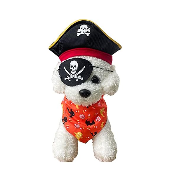Anelekor pet dog halloween costume cat pumpkin hat and spider bandana set halloween cat apparel with glasses funny pet clothes for small dogs kitten kitty - image 6