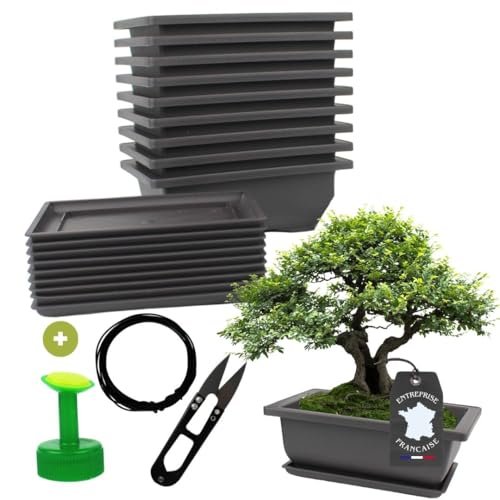Cultivea® - Lot de 10 Pots pour Bonsai avec Soucoupe – Kit Complet pour Culture et Entretien : Pots en Plastique avec Fil Bonsai, Sécateur, Bouchon Arrosoir et Drainage Intégré