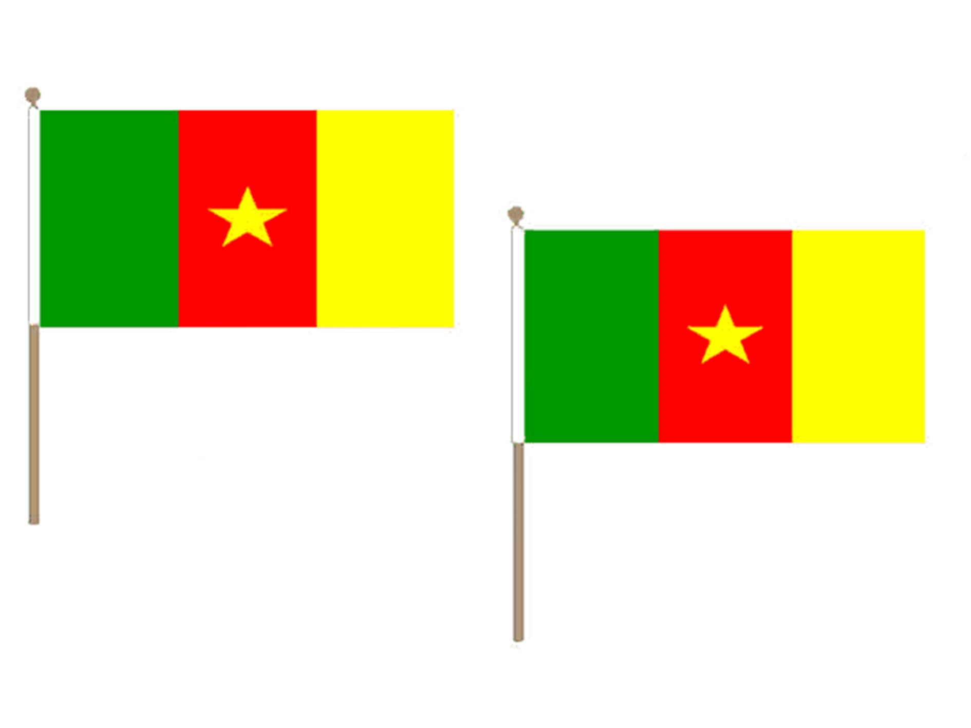 Drapeau Cameroun 45x30cm rigide avec hampe bois pour éviter les plis - Lot 10