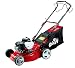 Produktbild Grizzly Benzin Rasenmäher - Briggs & Stratton Motor 300 E Series - Hinterradantrieb - (42cm Schnittbreite, 5-fach zentrale Höhenverstellung)