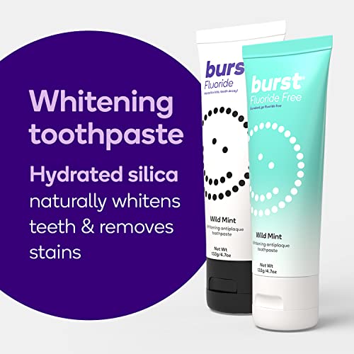 Image of BURST Fluoride Free Whitening Toothpaste for Stain Removal (4.7oz /2 Pack /Wild Mint) | for Sensitive Teeth | with Xylitol | Vegan, Gluten & SLS Free | Wild Mint for Sensitive Teeth | with Xylitol | Vegan, Gluten & SLS Free