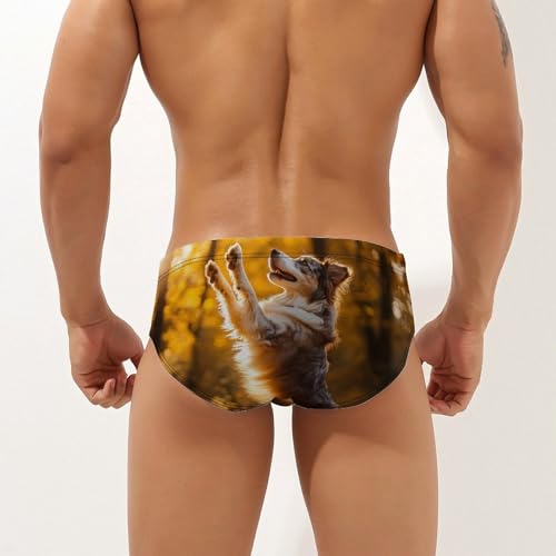 Australian Shepherd Autumn Men's Swim Brief Sexy Bikini Swimwear Swimsuit Trunks Bathing Suits2