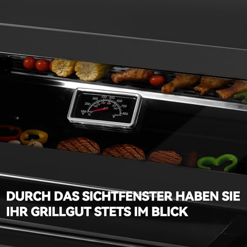 Royal Gourmet 4+1 Brenner Gasgrill Outdoor Gas Grillwagen mit Sichtfenster, Unterschrank, 15,5 kW Campinggrill mit Power-Zonen