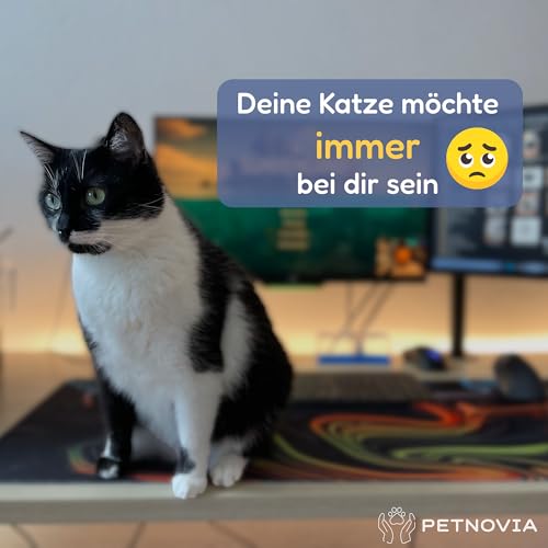 Homeoffice Schreibtisch Katzenkorb - Gemütlich Stabil und Waschbar - NEU – Bild 3