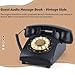 RetroVox Audio Guest Book Wedding Phone Guestbook Easy to Use & Fun Engagements Anniversaries Baby Showers Graduation Record Personalized Audio Messages